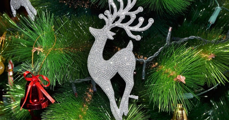 Sapins de Noël en France : les chiffres des ventes en 2026
